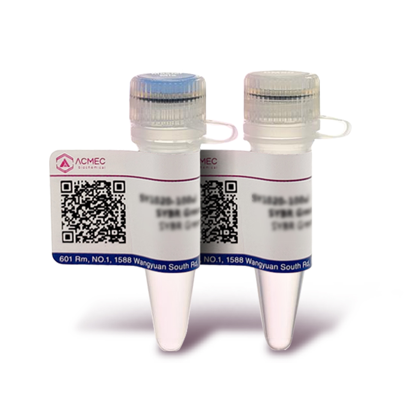 2×Pfu PCR MasterMix (含染料）
