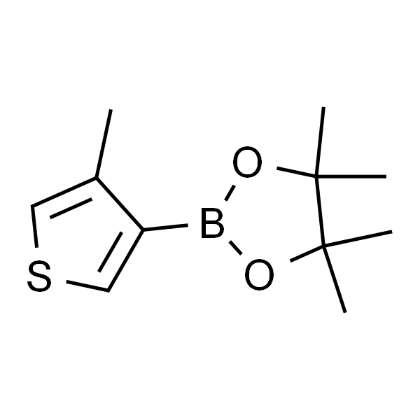 4-甲基噻吩-3-硼酸频哪酯