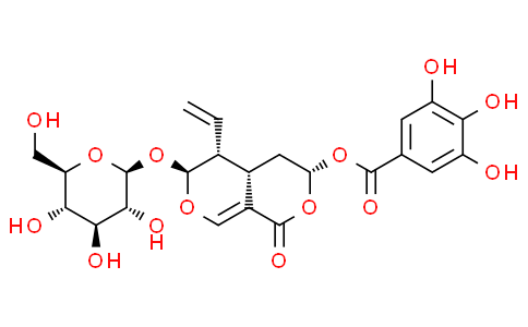 7β-Galloyloxysweroside
