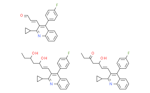 甲状旁腺激素 人类