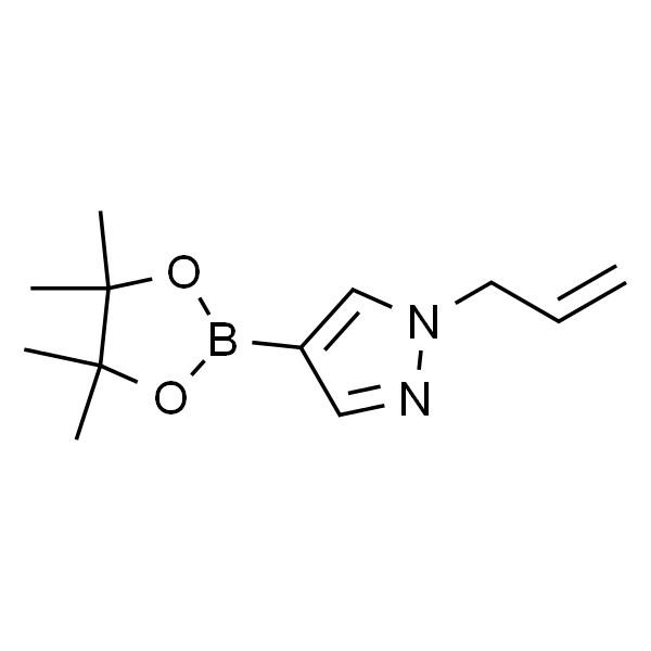 1-烯丙基-4-(4,4,5,5-四甲基-1,3,2-二氧硼杂环戊烷-2-基)-1H-吡唑