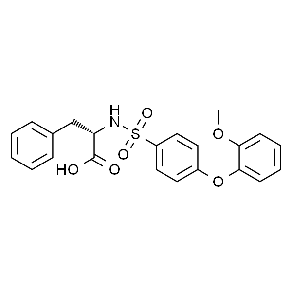 N-[4-(2-甲氧基苯氧基)苯基磺酰基]-DL-苯基丙氨酸