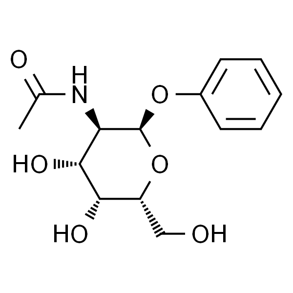 苯基-N-乙酰基-A-D-葡糖胺