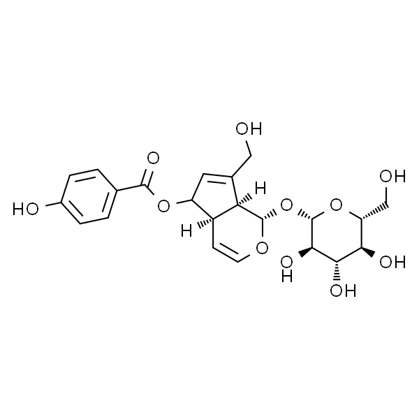 6-O-p-Hydroxybenzoylaucubin