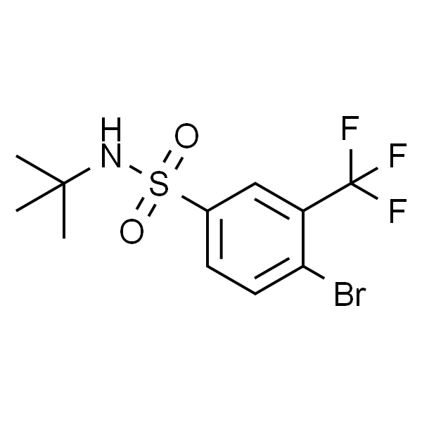 4-溴-N-(叔丁基)-3-(三氟甲基)苯磺酰胺