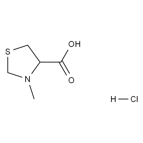 3-甲基噻唑烷-4-羧酸盐酸盐
