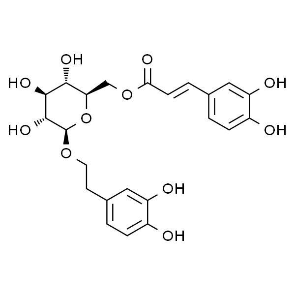 木通苯乙醇苷B
