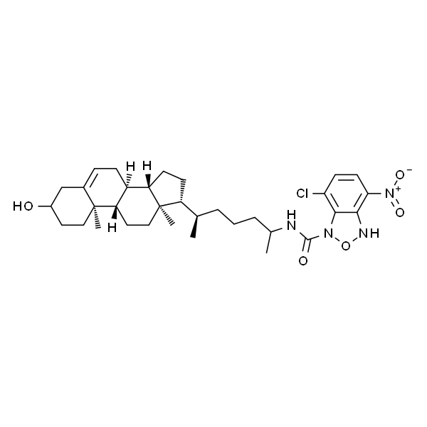 25-[N-[(7-nitro-2-1,3-benzoxadiazol-4-yl)methyl]amino]-27-norcholesterol