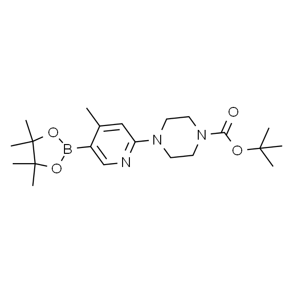 1073355-13-1