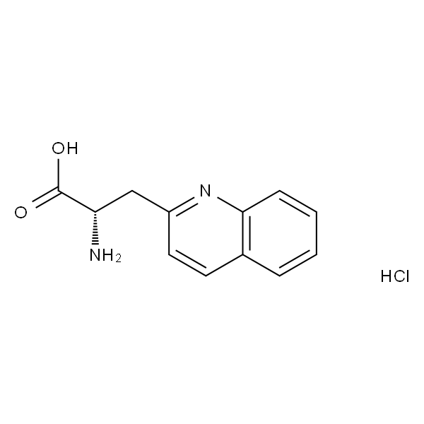 (S)-2-氨基-3-(喹啉-2-基)丙酸盐酸盐