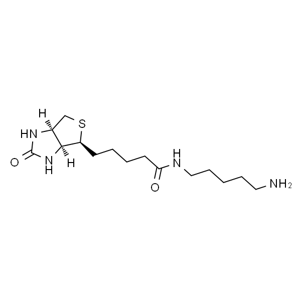 N-(5-氨基戊基)-5-((3aS,4S,6aR)-2-氧六氢-1H-硫代[3,4-d]咪唑-4-基)戊酰胺