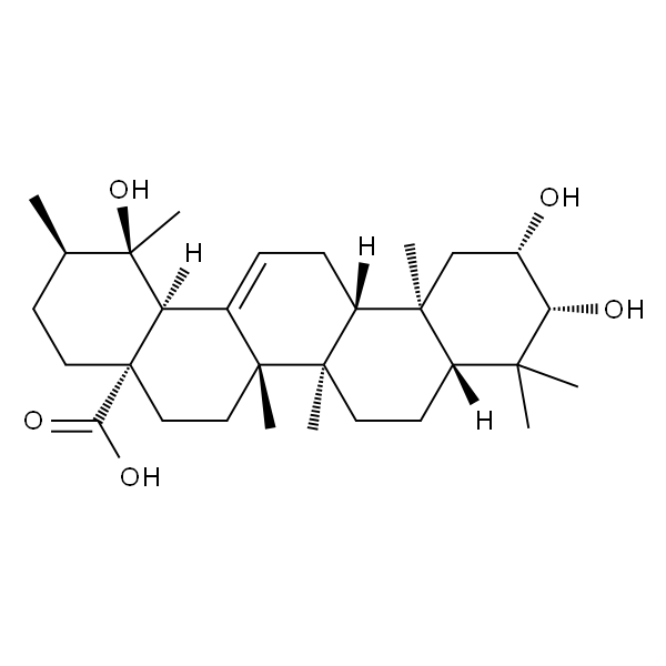 2-Epitormentic acid