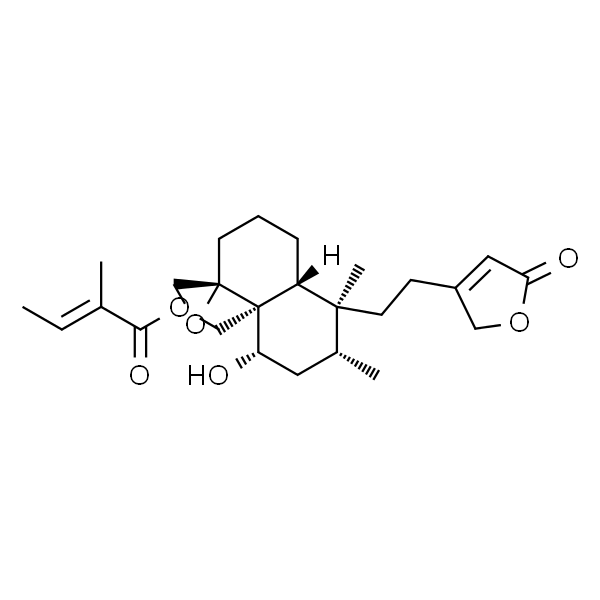 筋骨草素L2