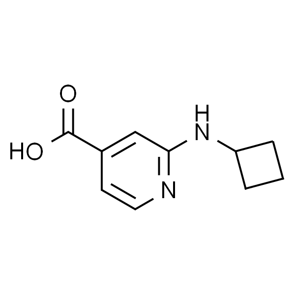 2-(环丁基氨基)异烟酸