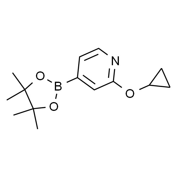 2-环丙氧基-4-(4,4,5,5-四甲基-1,3,2-二氧杂环戊硼烷-2-基)吡啶