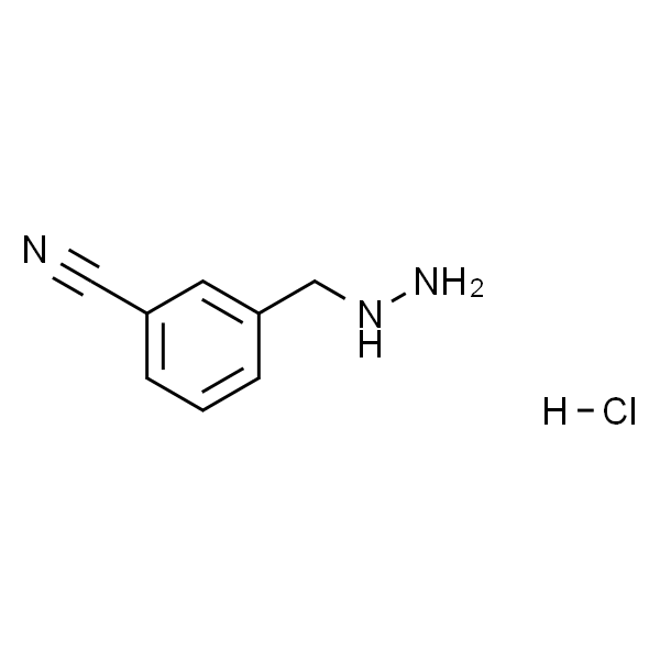 3-(肼基甲基)苯甲腈盐酸盐