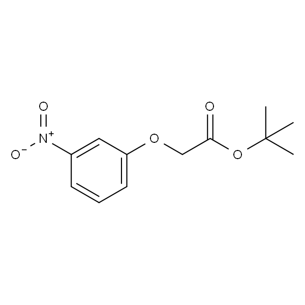 2-(3-硝基苯氧基)乙酸叔丁酯