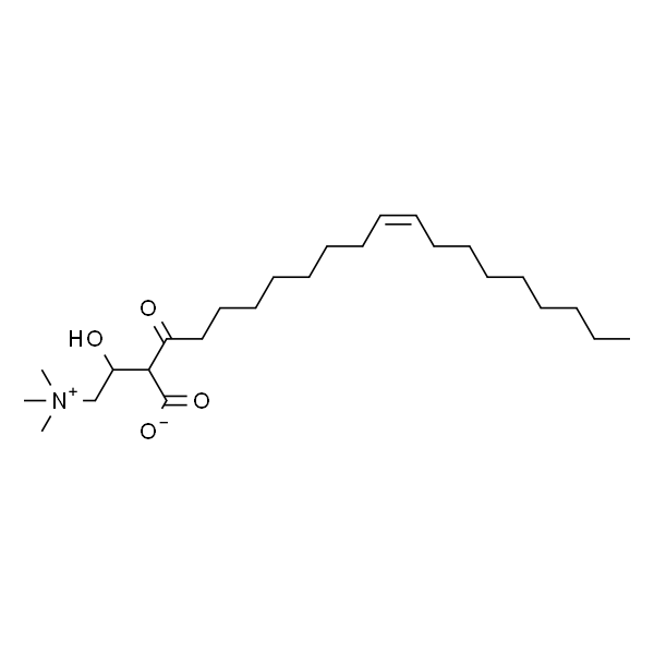 oleoyl L-carnitine