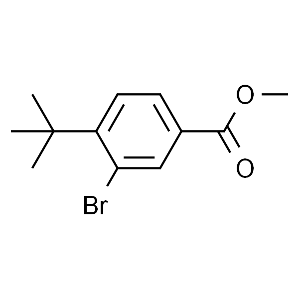 3-溴-4-(叔丁基)苯甲酸甲酯
