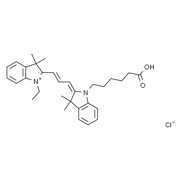 Cy3 荧光染料