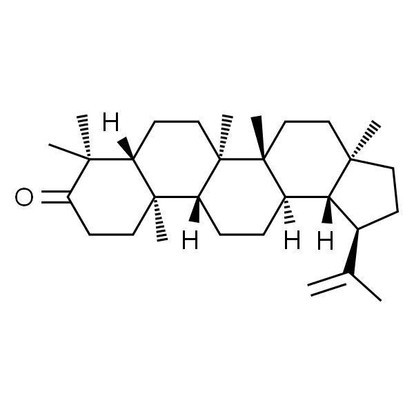 羽扇烯酮