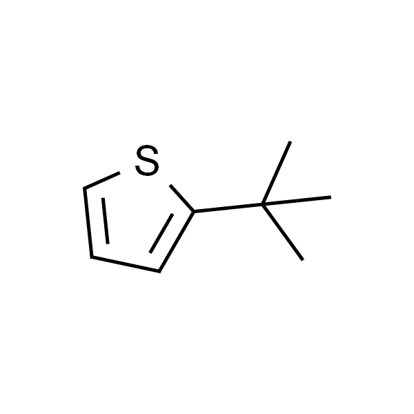 2-叔丁基噻吩