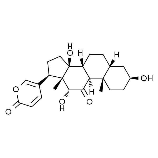 伪异沙蟾毒精