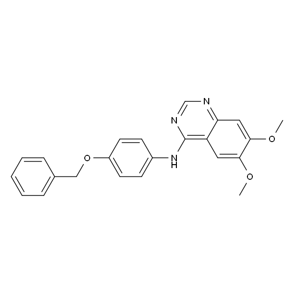 EGFR/ErbB-2 Inhibitor