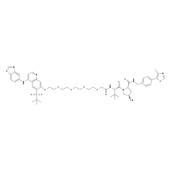 PROTAC RIPK degrader-2