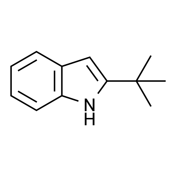2-(叔丁基)-1H-吲哚