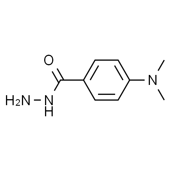 对二甲氨基苯甲酰肼