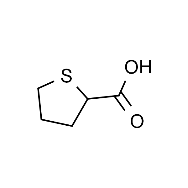 四氢噻吩-2-羧酸