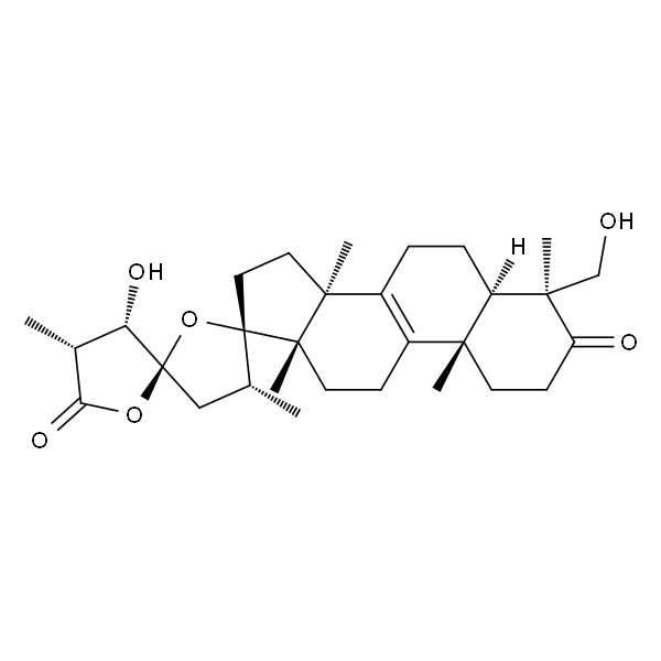 Scillascillone