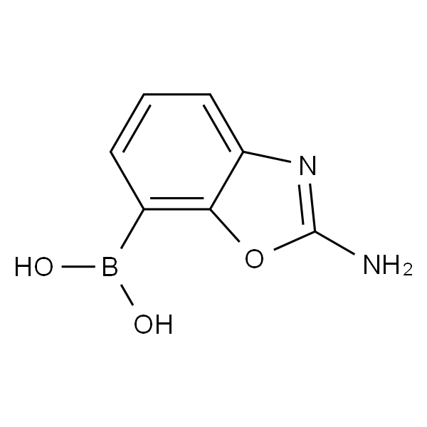 2-氨基苯并噁唑-7-硼酸