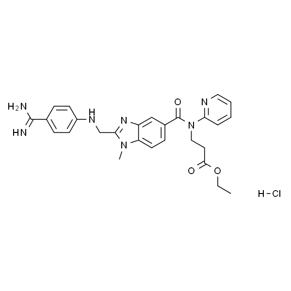 Dabigatran Ethyl Ester Hydrochloride Salt