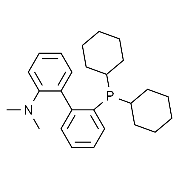 2-(二环己基)-2-(N,N-二甲基氨基)联苯