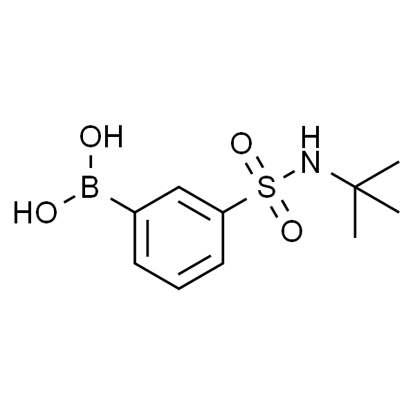 3-(叔丁基磺酰氨基)苯硼酸