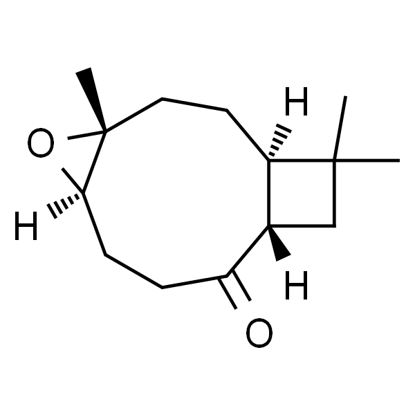 Kobusone