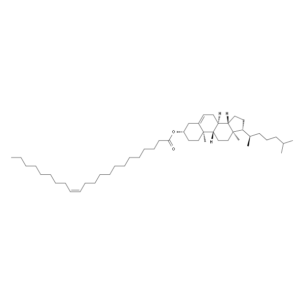 Cholesteryl Erucate