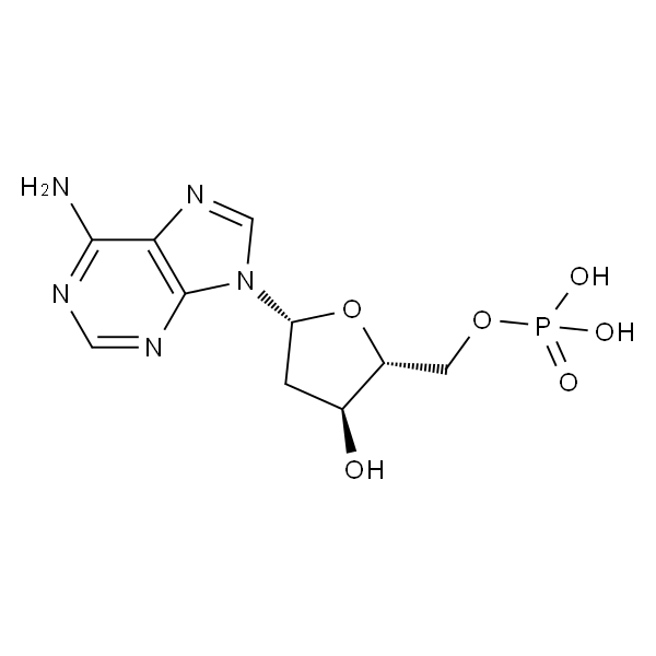 Poly(2'-deoxyadenylic acid) sodium salt lyophilized