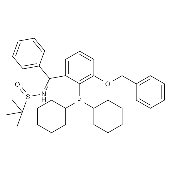 [S(R)]-N-[(R)-[(3-苄氧基-2-(二环己基膦)苯基)苯甲基]-2-叔丁基亚磺酰胺