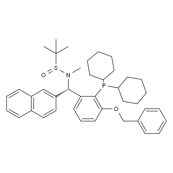 [S(R)]-N-[(S)-[3-苄氧基-2-(二环己基膦)苯基]-(2-萘基)甲基]-N-甲基-2-叔丁基亚磺酰胺