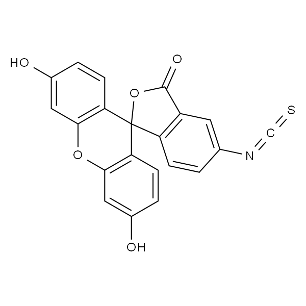 异硫氰酸荧光素