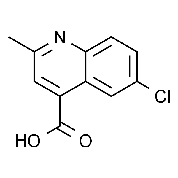6-氯-2-甲基喹啉-4-羧酸
