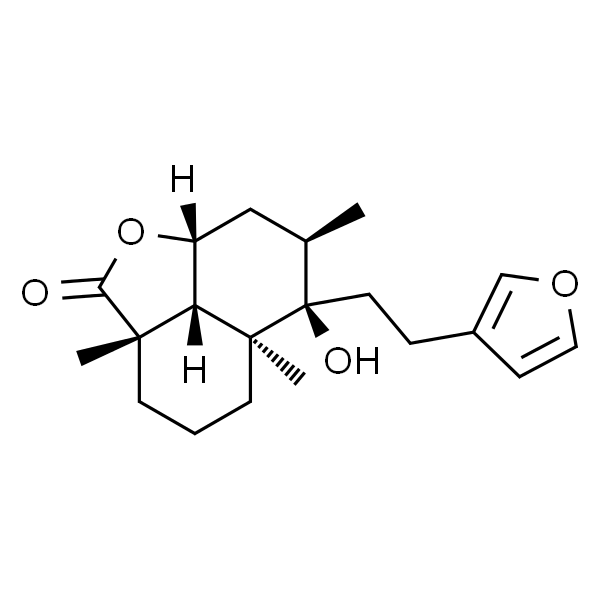 夏至草素