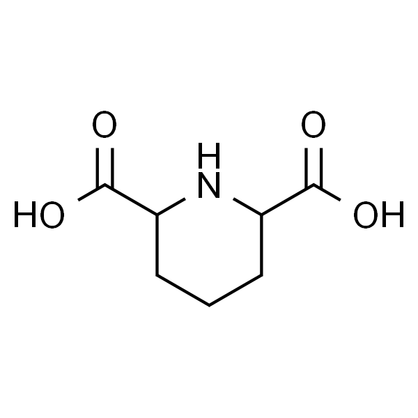 哌啶-2,6-二甲酸