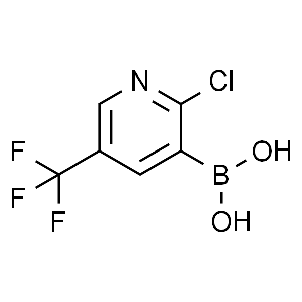 2-氯-5-三氟甲基吡啶-3-硼酸