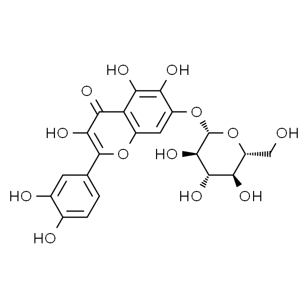 槲皮万寿菊苷