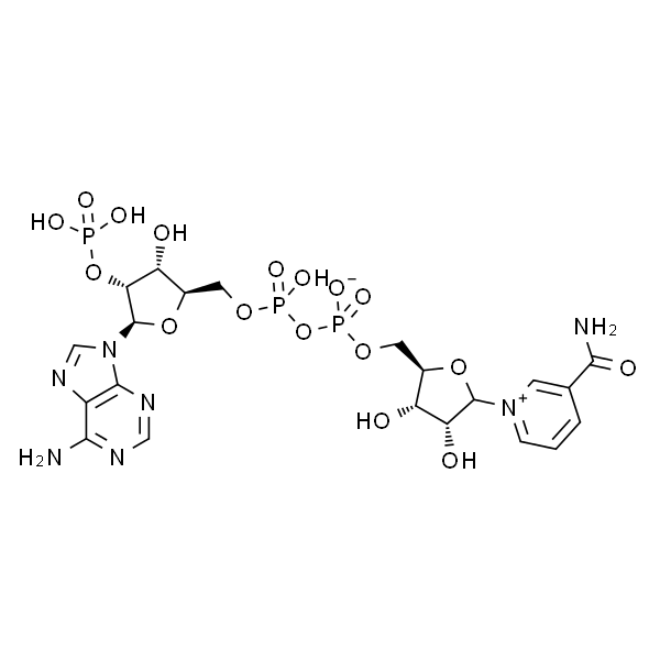 烟酸腺嘌呤二核苷酸磷酸 钠盐