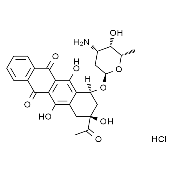 盐酸伊达比星